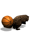 Gif castor